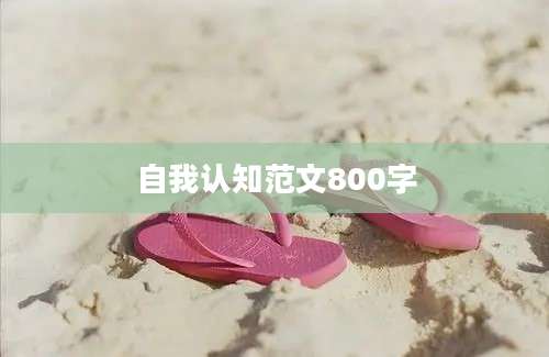自我认知范文800字
