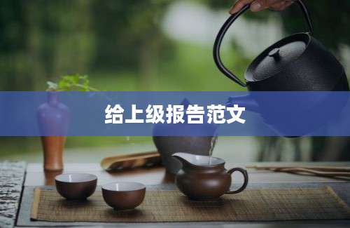 给上级报告范文