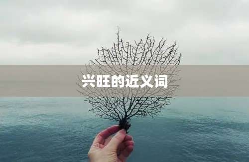 兴旺的近义词