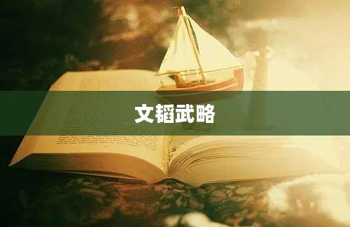 文韬武略