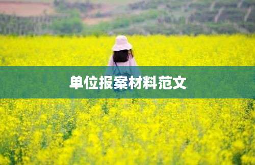 单位报案材料范文