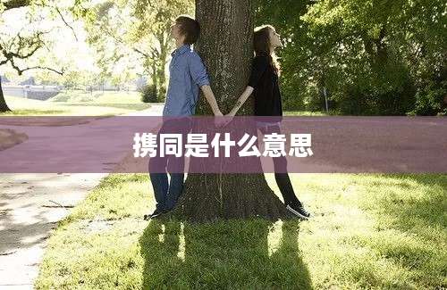 携同是什么意思