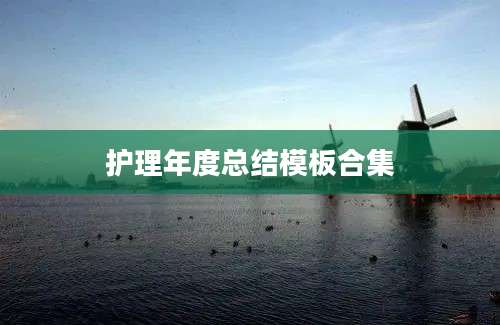 护理年度总结模板合集
