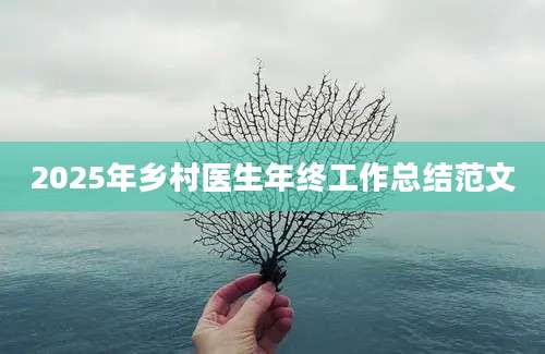 2025年乡村医生年终工作总结范文