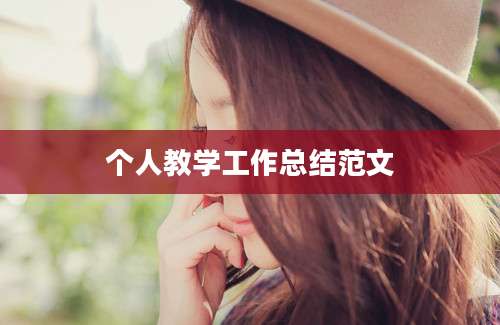 个人教学工作总结范文