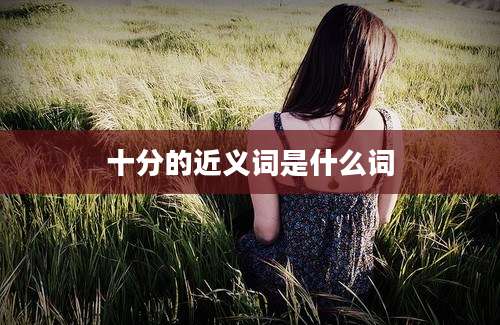 十分的近义词是什么词