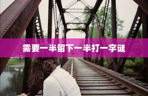 需要一半留下一半打一字谜