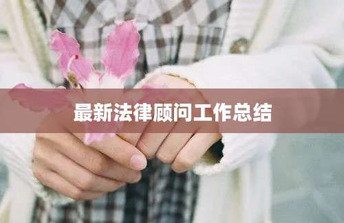 最新法律顾问工作总结