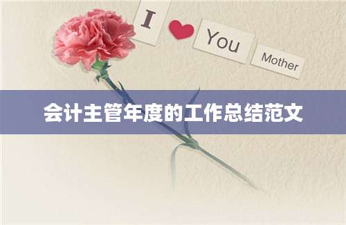 会计主管年度的工作总结范文