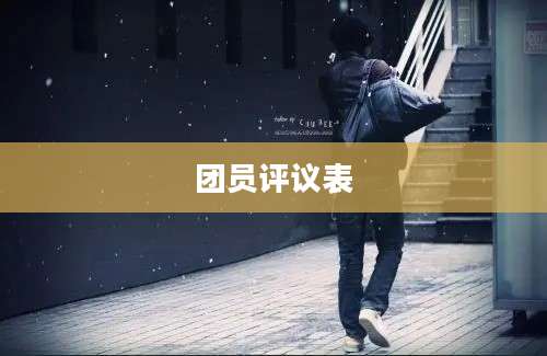 团员评议表