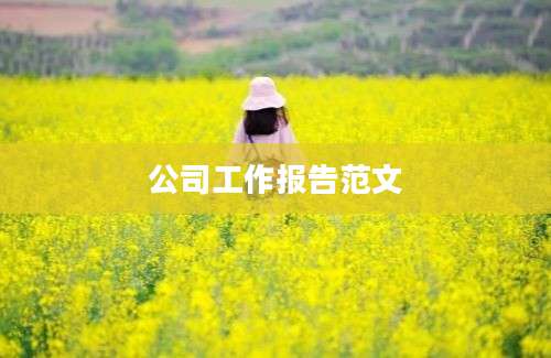 公司工作报告范文
