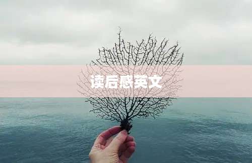读后感英文