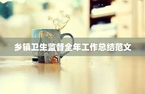 乡镇卫生监督全年工作总结范文