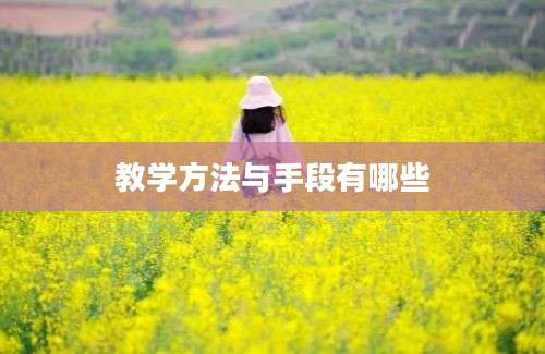 教学方法与手段有哪些