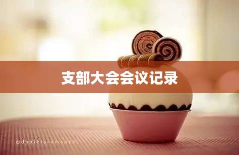 支部大会会议记录