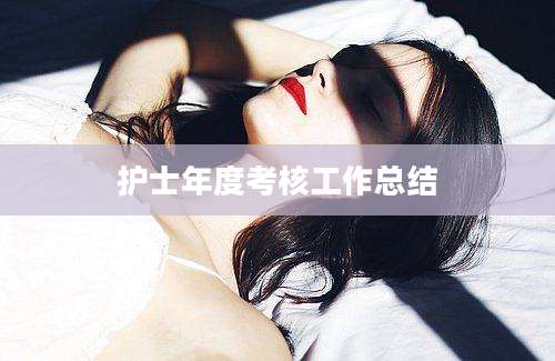 护士年度考核工作总结