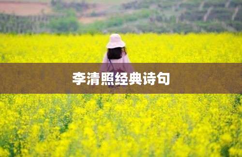 李清照经典诗句