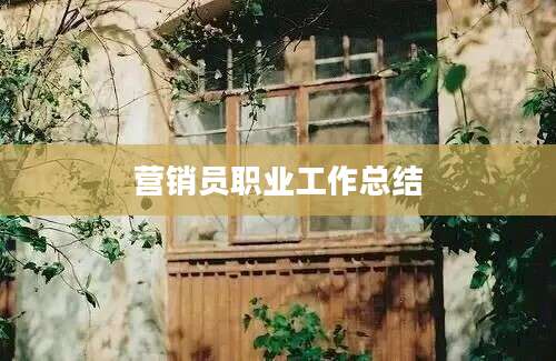 营销员职业工作总结