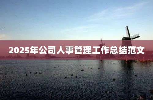 2025年公司人事管理工作总结范文