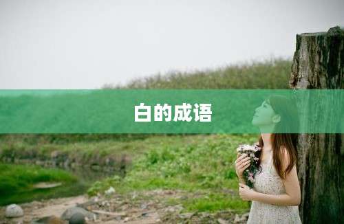 白的成语