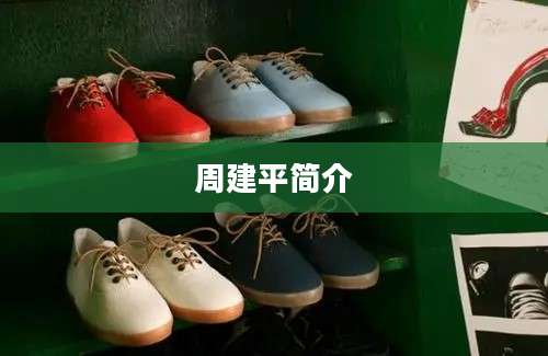 周建平简介