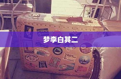 梦李白其二
