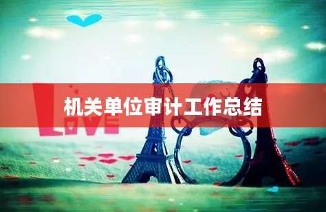 机关单位审计工作总结