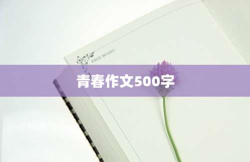 青春作文500字