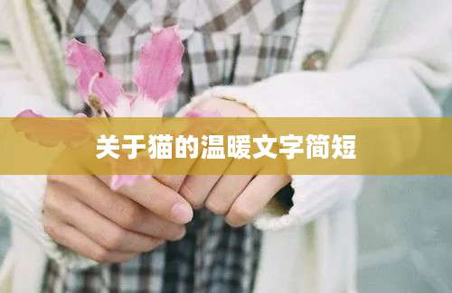 关于猫的温暖文字简短