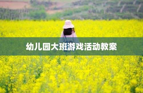 幼儿园大班游戏活动教案