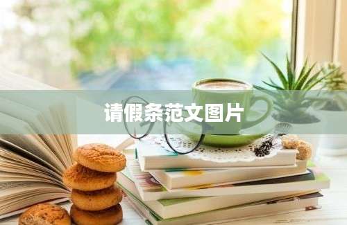 请假条范文图片