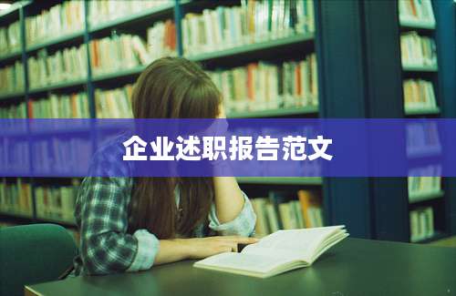 企业述职报告范文