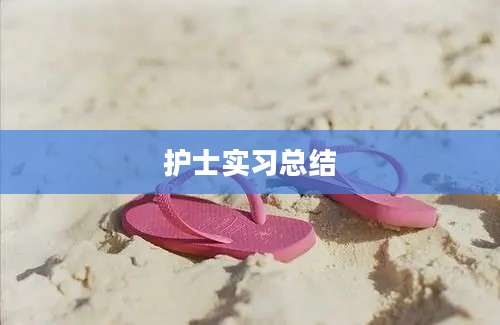护士实习总结