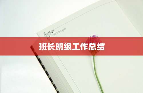 班长班级工作总结