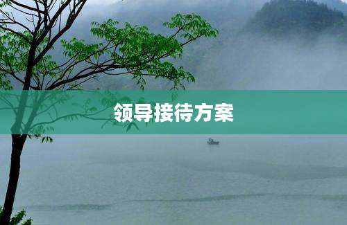 领导接待方案