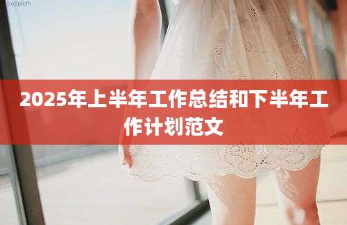 2025年上半年工作总结和下半年工作计划范文