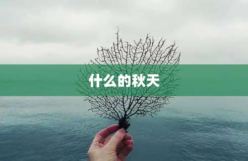 什么的秋天