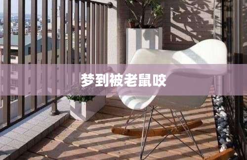 梦到被老鼠咬