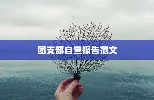 团支部自查报告范文