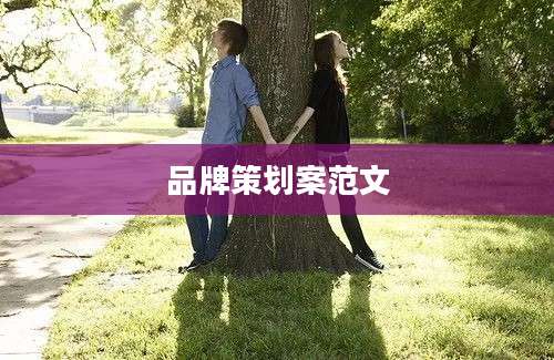 品牌策划案范文