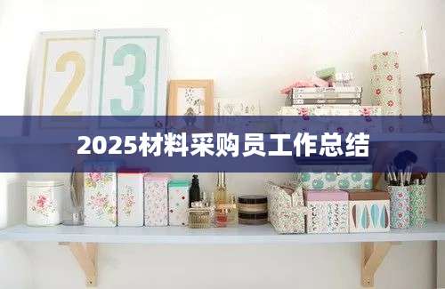 2025材料采购员工作总结