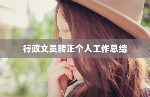 行政文员转正个人工作总结