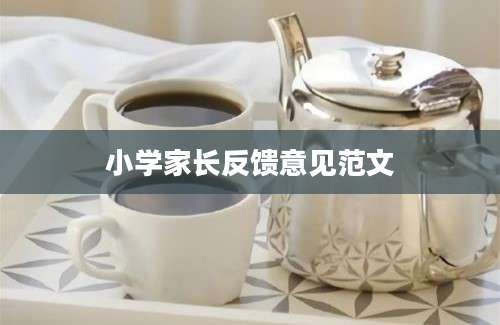 小学家长反馈意见范文