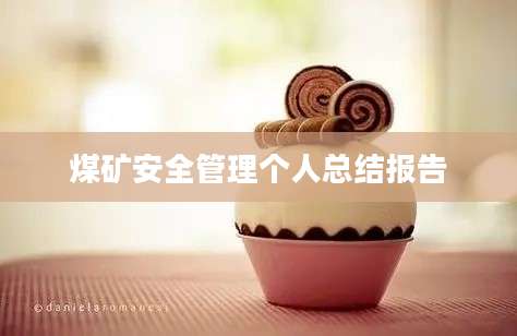 煤矿安全管理个人总结报告