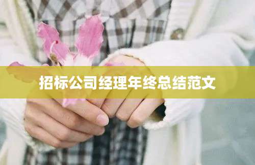 招标公司经理年终总结范文