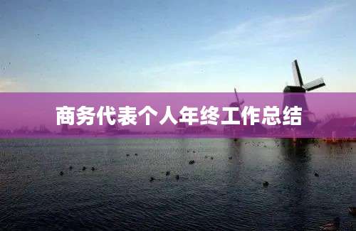 商务代表个人年终工作总结