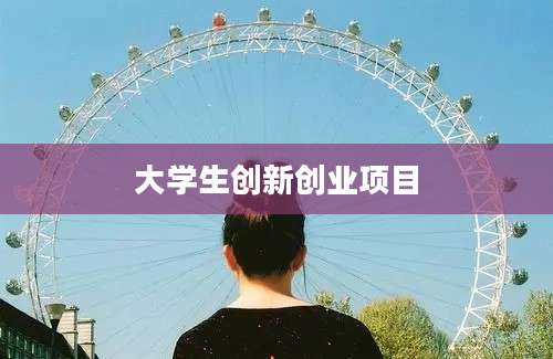 大学生创新创业项目
