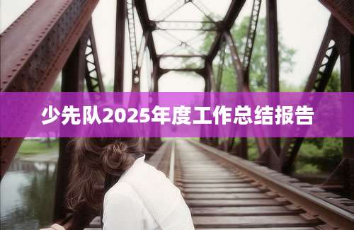 少先队2025年度工作总结报告