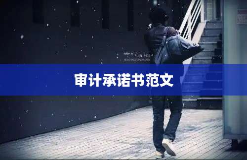 审计承诺书范文