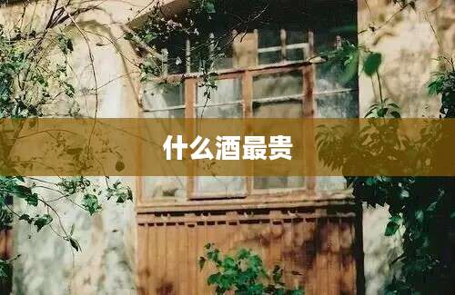 什么酒最贵